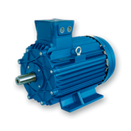 CEMP Motor Explosion proof
