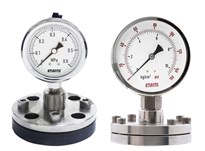 Diaphragm Pressure Gauge with Flange connection