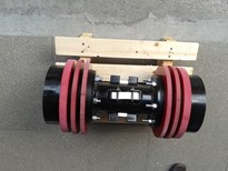 MD Pig 10