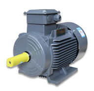 Siemens Beide Motor