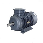 Siemens Beide Motor