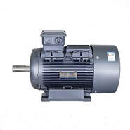 Siemens Beide Motor