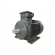 Siemens Beide Motor