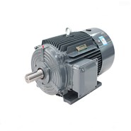 Siemens Beide Motor