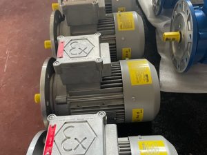 RAEL  Explosion proof motor