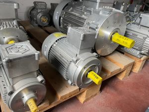 RAEL motor  - 1