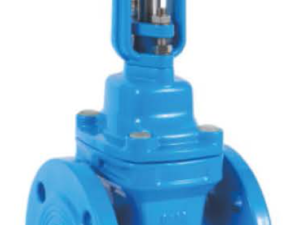 Open-Rod-Gate-valve