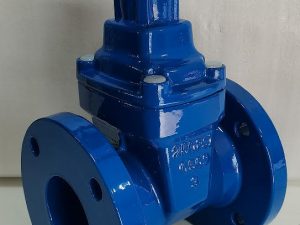 Gate Valve - 1