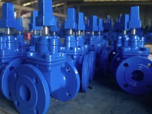 Gate Valve - 7